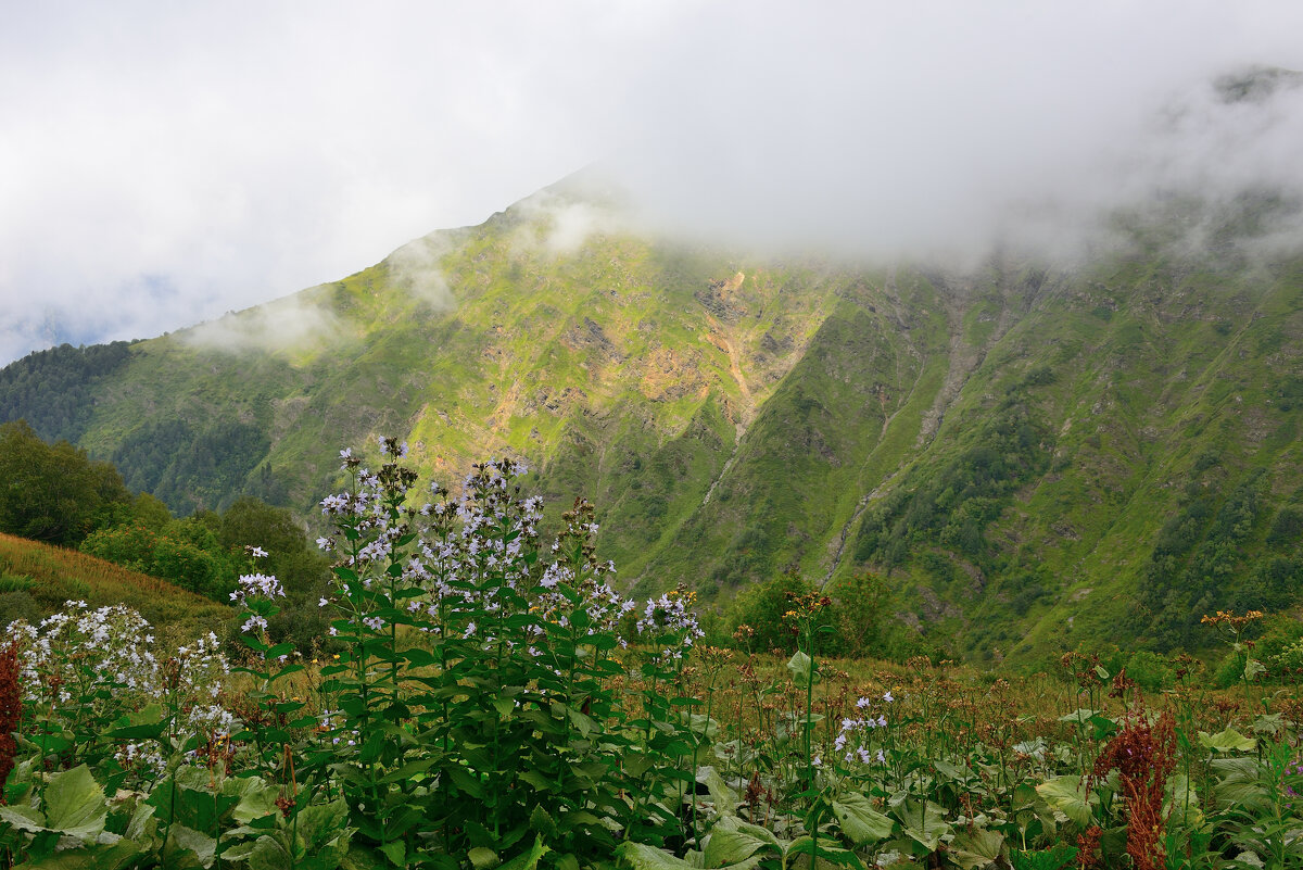 *** - Александр Хаецкий