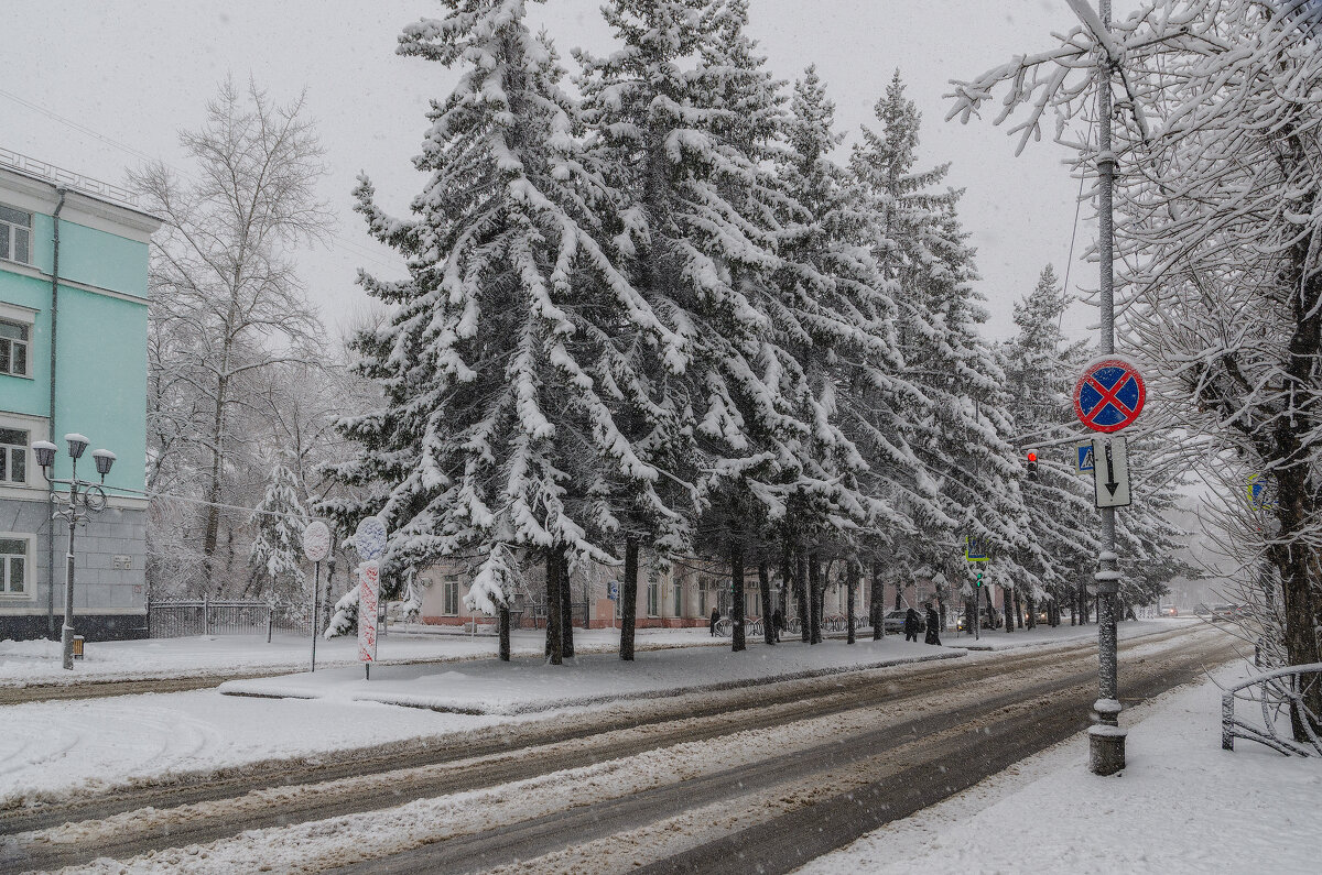 Весенняя красота - Виктор Иванович Чернюк