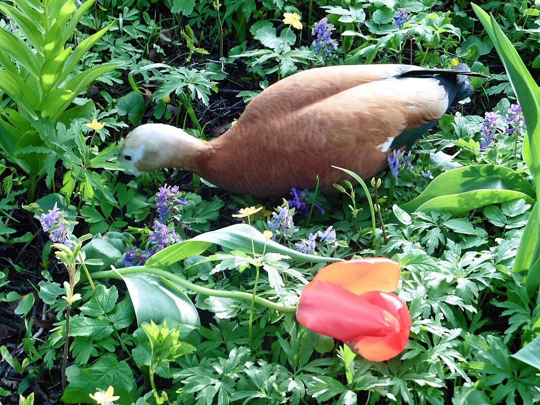 В поисках вкусненького - Лидия Бусурина