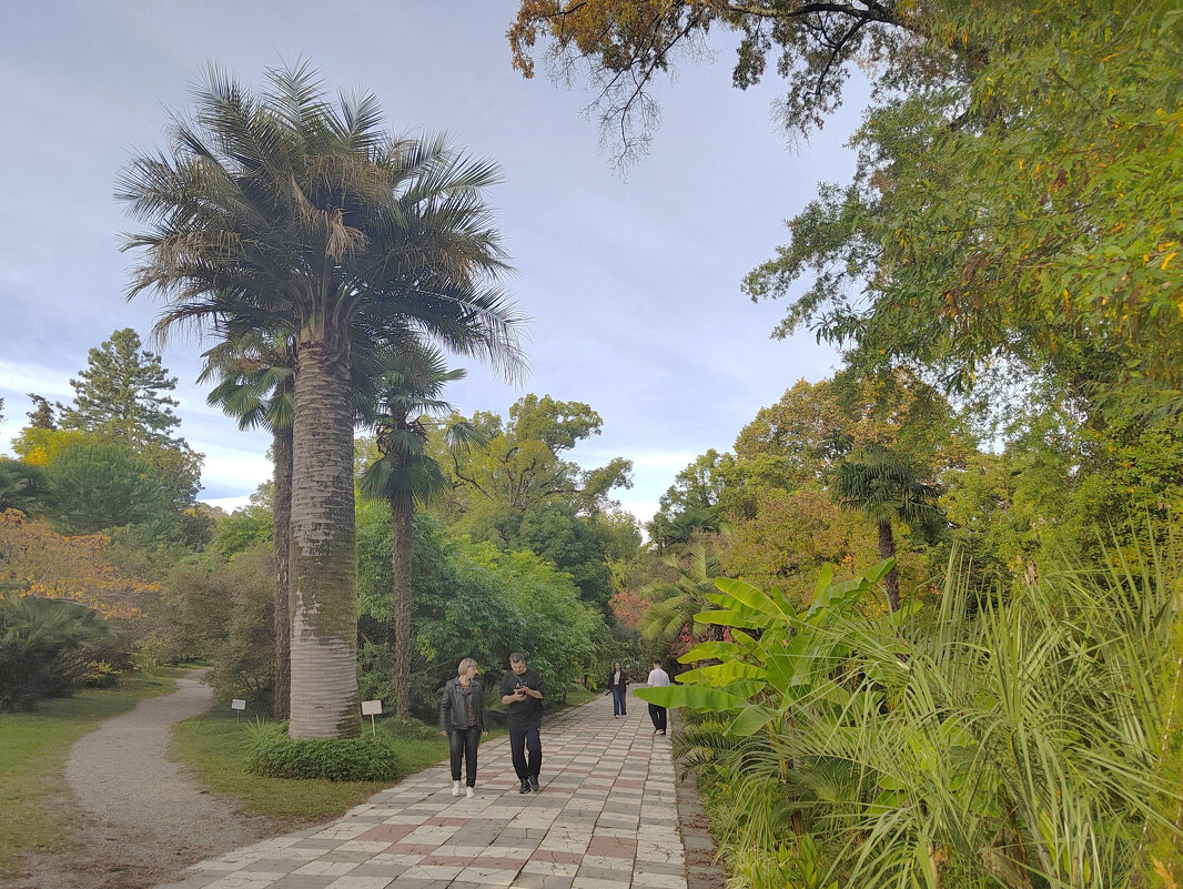 В Ботаническом  саду - Фотогруппа Весна