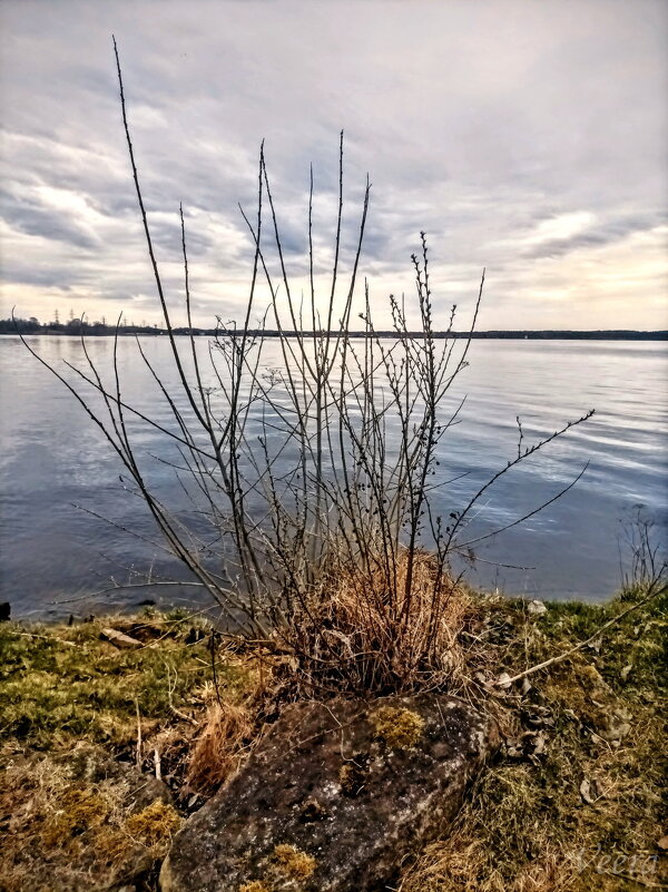 Нарвское водохранилище - Veera V
