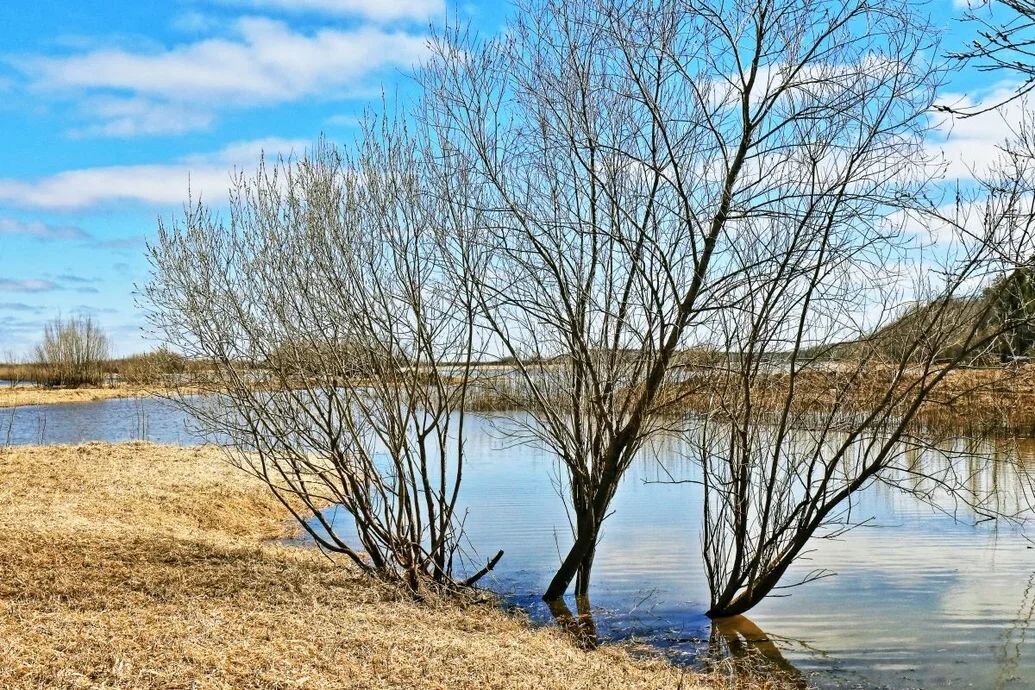 Ранняя весна на берегу Сырого Агана! - Владимир 