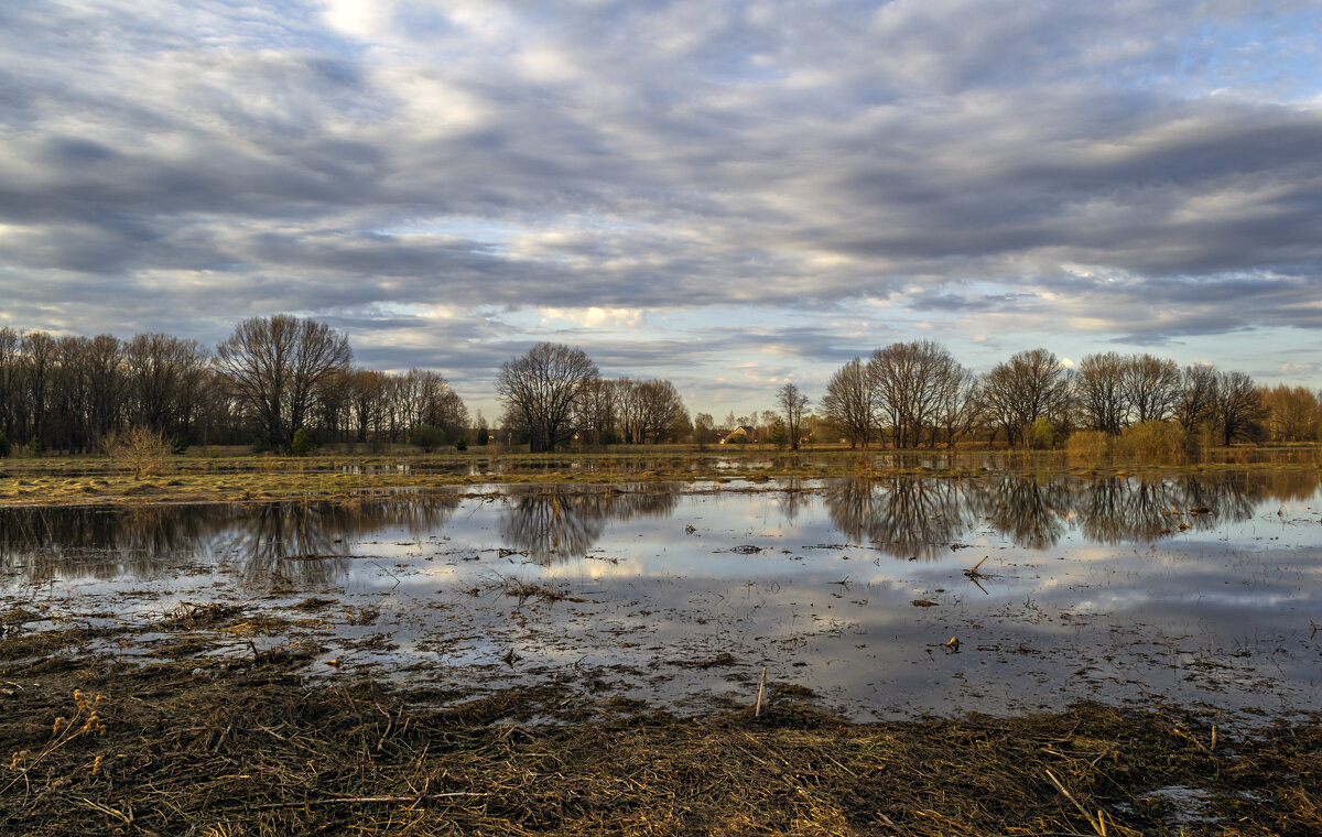 Половодье - Сергей Цветков