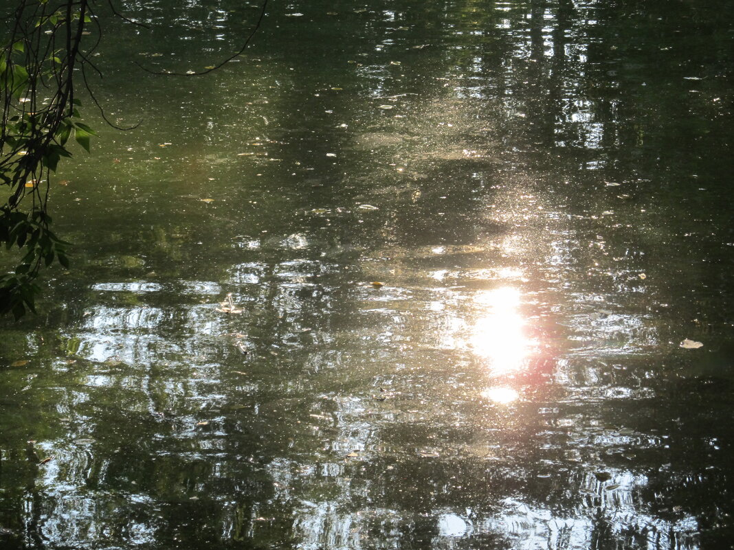В Харитоновском парке - Елена Шаламова