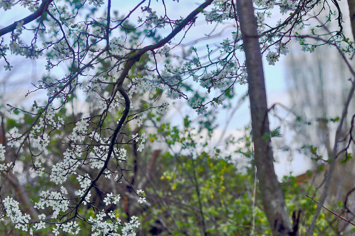 Весна! - Юрий Гайворонскiий