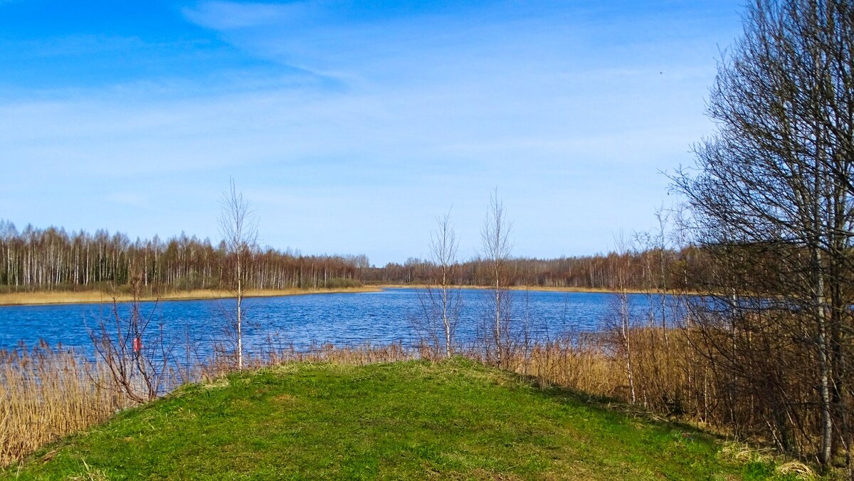 Про озёра Смоленщины. - Милешкин Владимир Алексеевич 