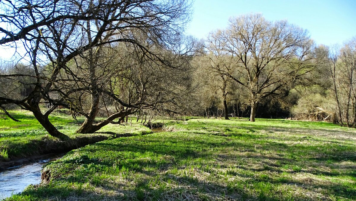 Весенний парк. - Милешкин Владимир Алексеевич 