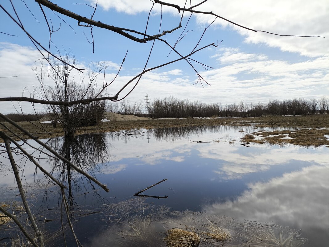 Весна - Anna Ivanova