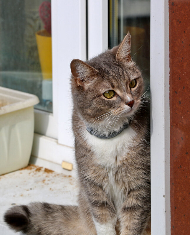 Моя любопытная соседка - Светлана 