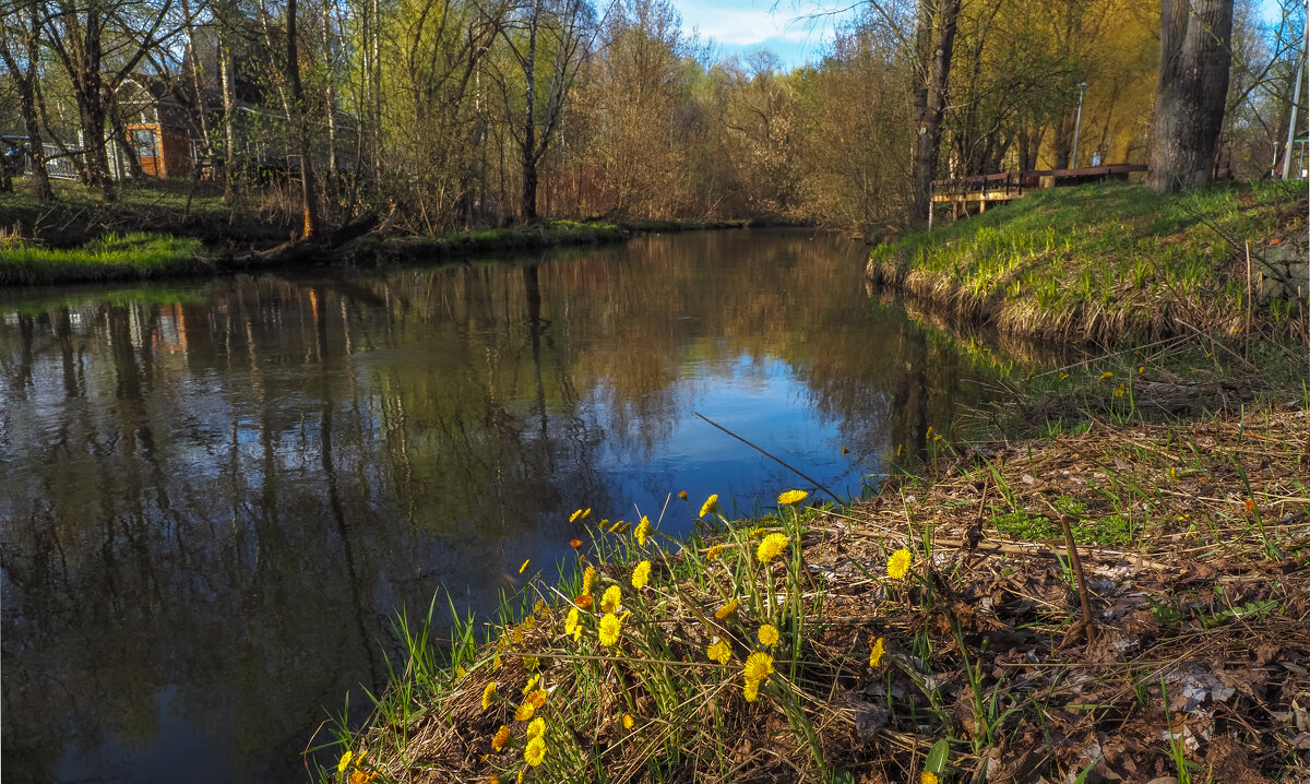 У Тихой Воды - юрий поляков