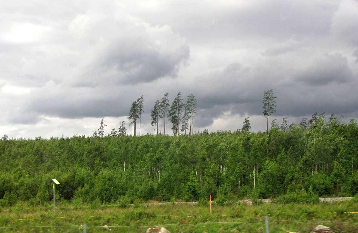 Вблизи деревни Дорарп (Dörarp) - Александр Ильчевский 