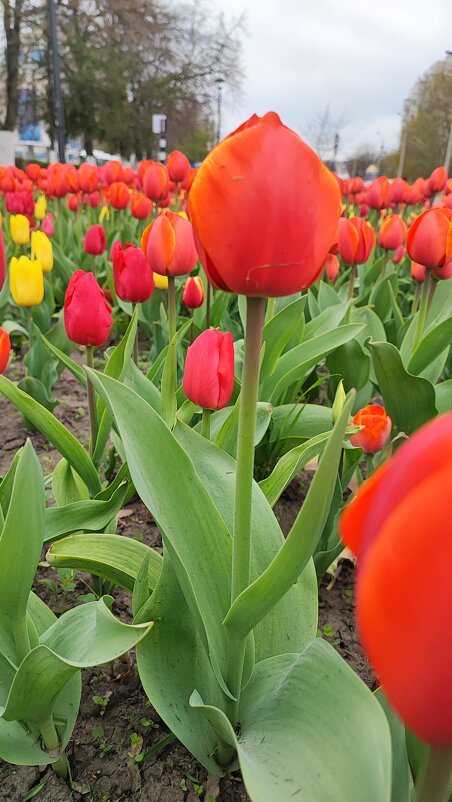 ,,, - Сергей Тимоновский