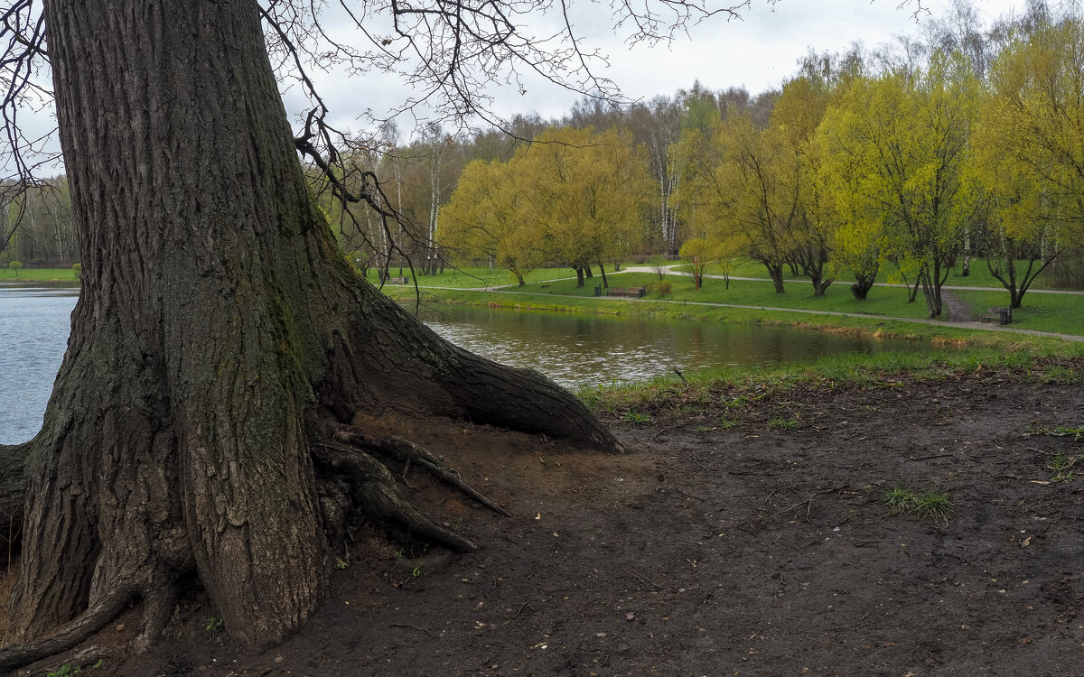 ***** - юрий поляков