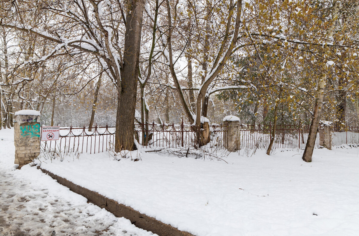 Снег поздней весной - Александр Синдерёв