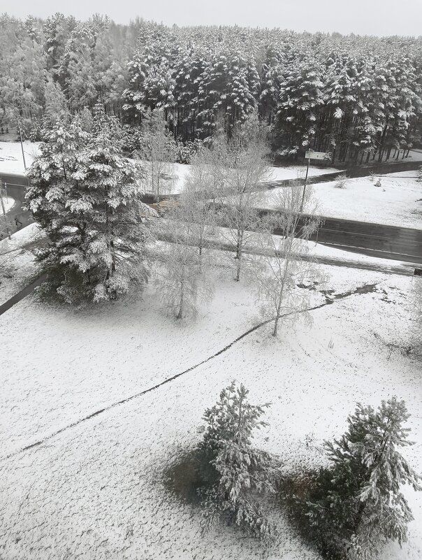 городская среда - Владимир 