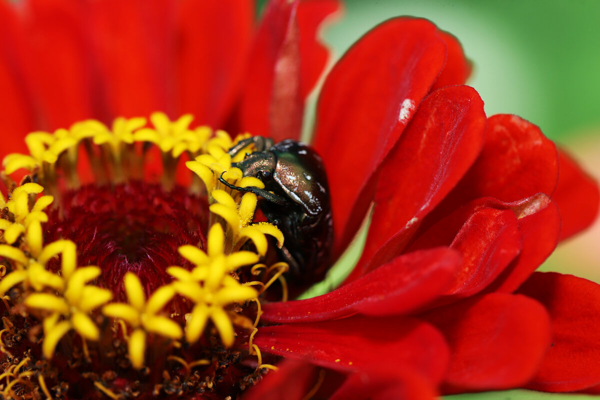 Это все мне? - Татьяна Салиева