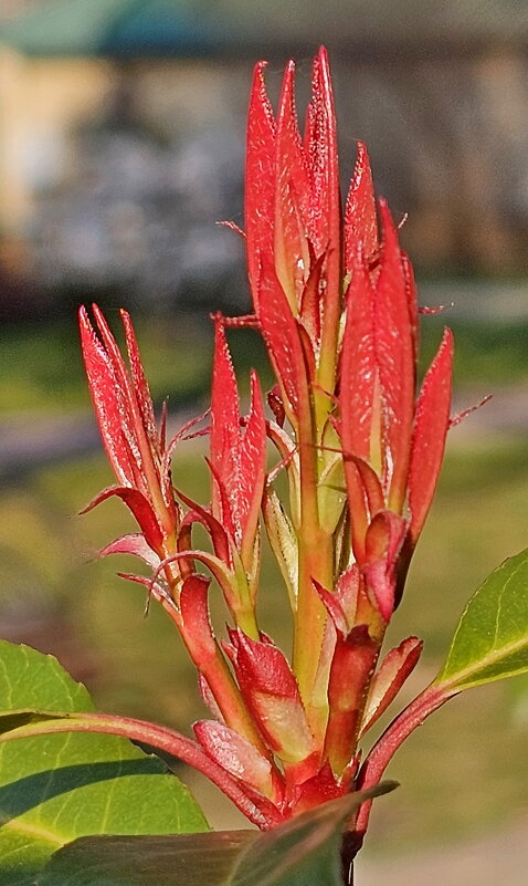 Весна - Михаил Свиденцов