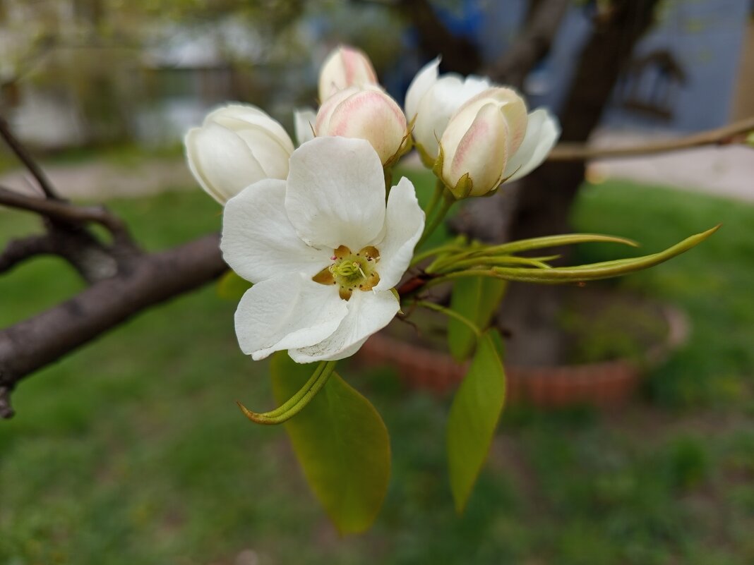 "Им время цвесть, а мне тлести" - Андрей Лукьянов