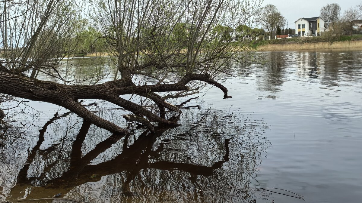 ***на Тверце*** - Olga Oskolkova