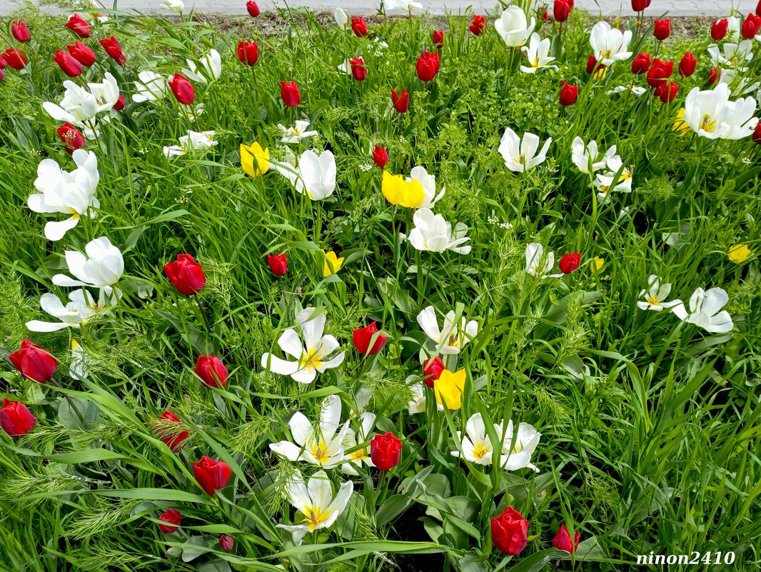 Весна продолжается! - Нина Бутко