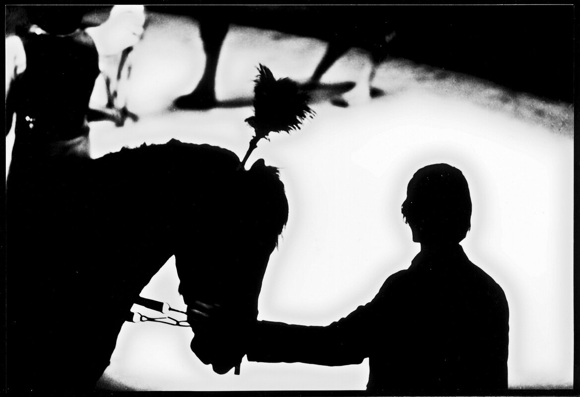 ФОТОГРАФИКА. Цирк ШАПИТО - Алексей Кузнецов