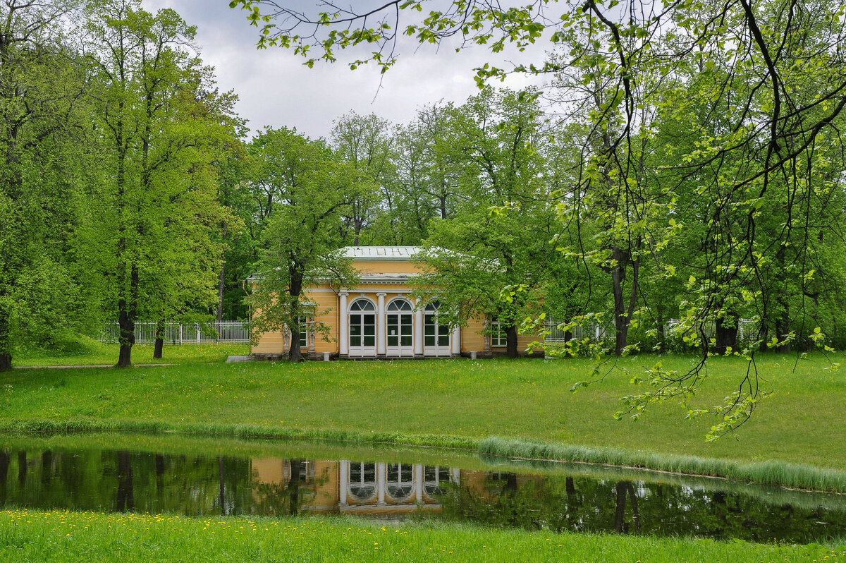 "Вечерний зал" - Татьяна Машошина