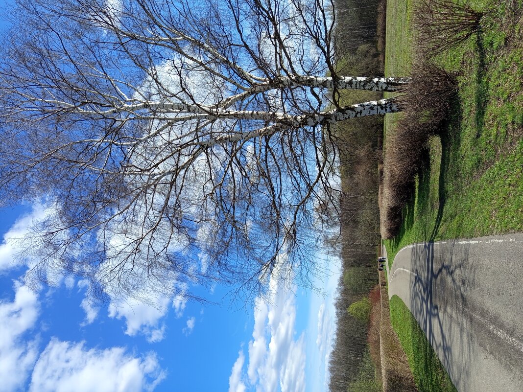 Апрель, который радовал нечасто - Андрей Лукьянов