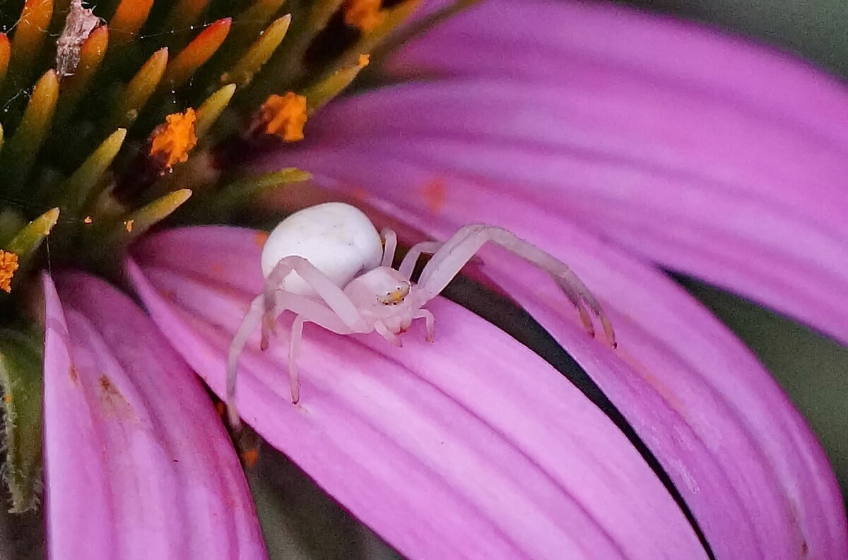 Макро мир... - Николай Саржанов