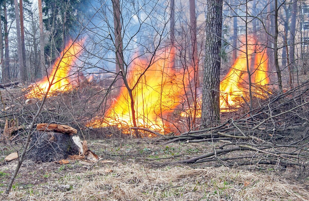 Опасно! - Валерий Иванович