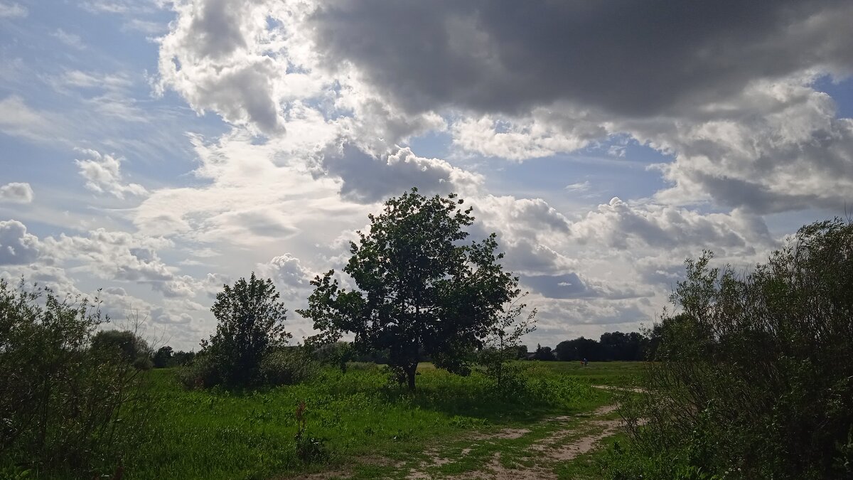 туча - Елена Шаламова