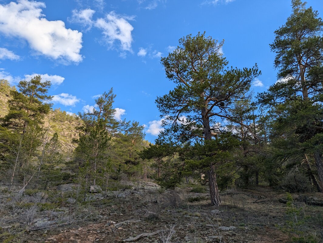 Сары Арка - Андрей Хлопонин