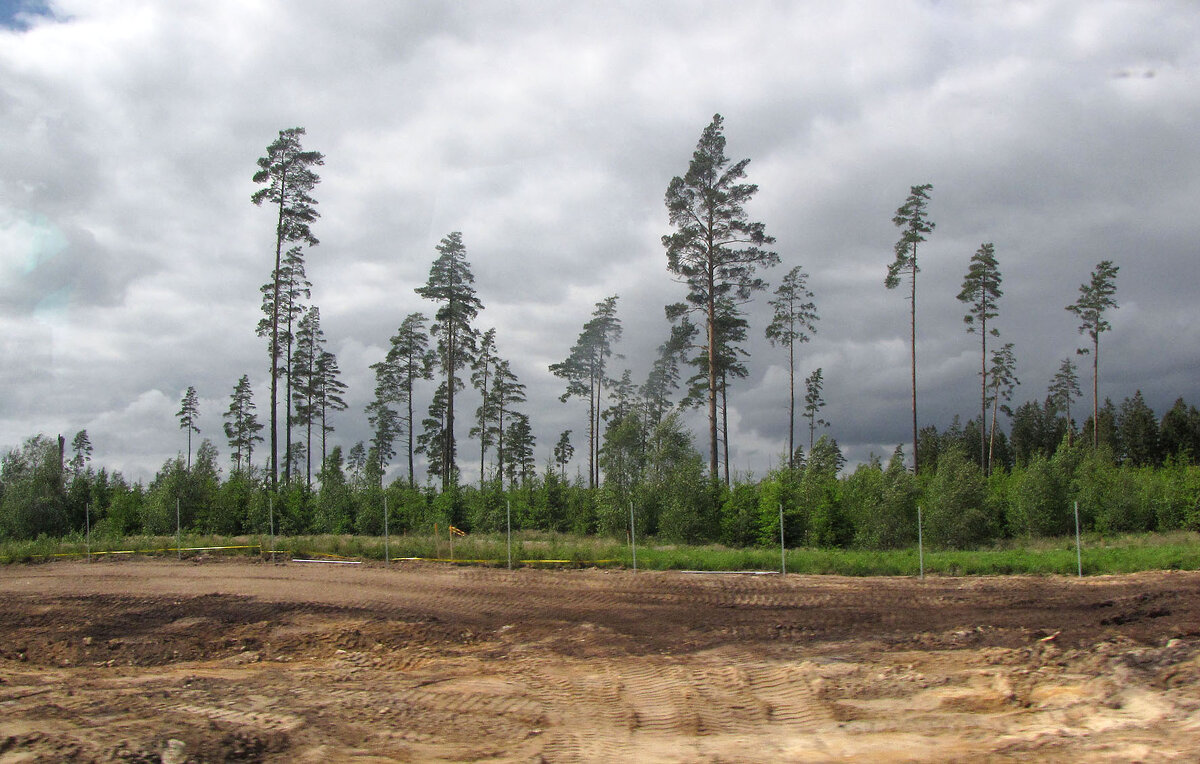 Севернее местечка Хальшё (Hallsjö) - Александр Ильчевский 