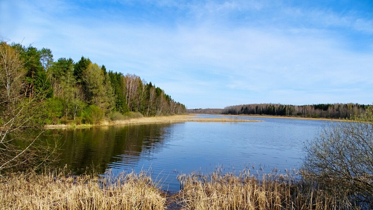 Про озёра Смоленщины. - Милешкин Владимир Алексеевич 