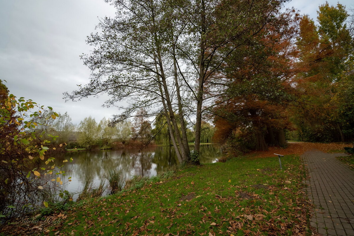 *** - Николай Гирш