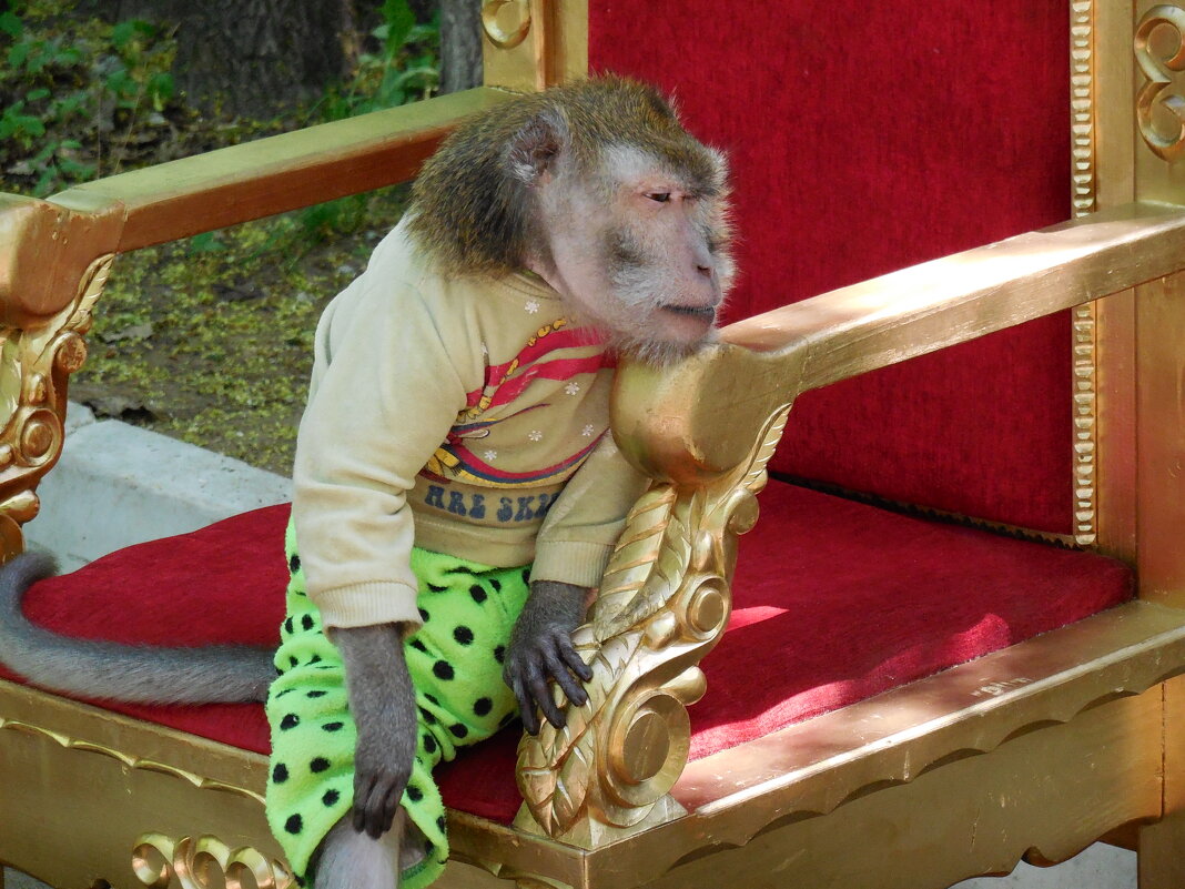 Несчастная - Надежда 