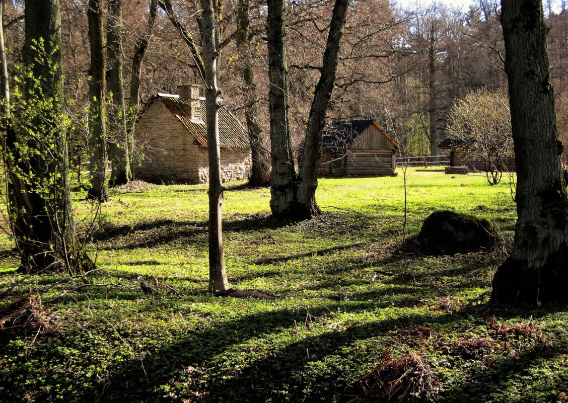 Весенние контрасты - Aida10 