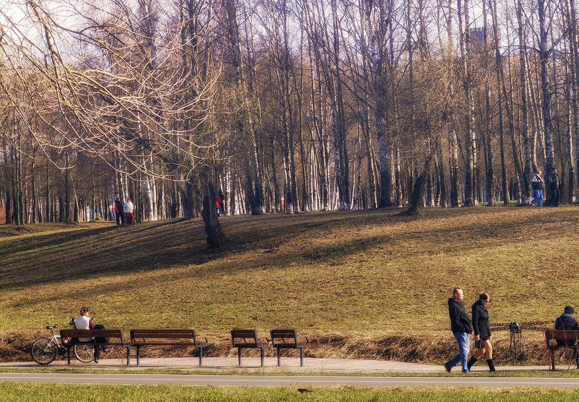 Прогулка в Муринском парке. СПб. - Лилия *