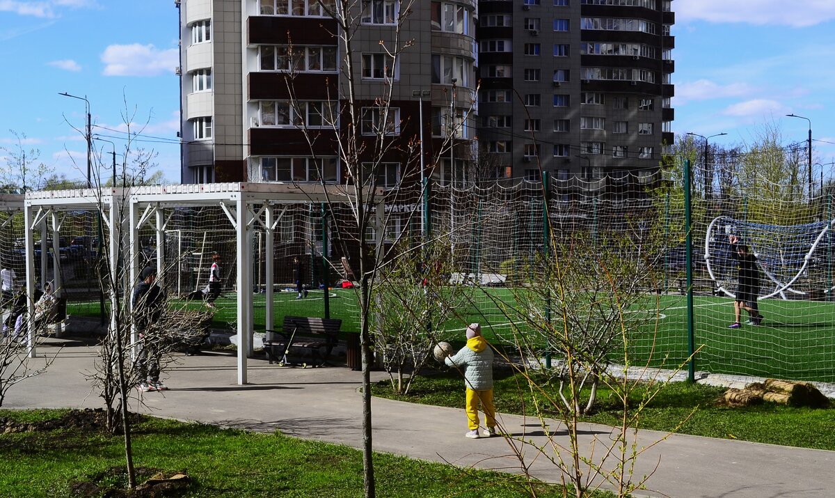 Наш двор. - Василий Палий