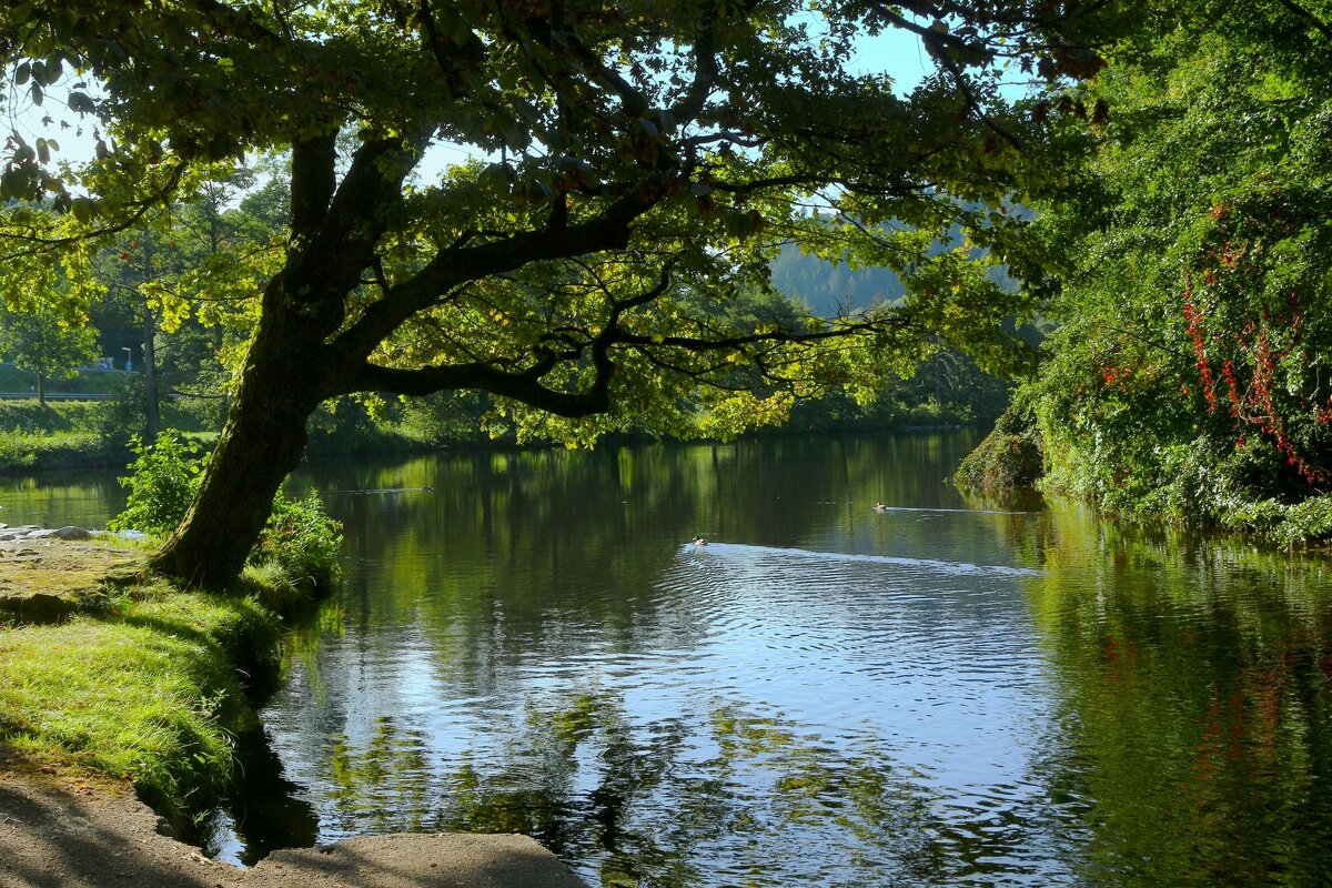 Тихая речка - Юрий. Шмаков