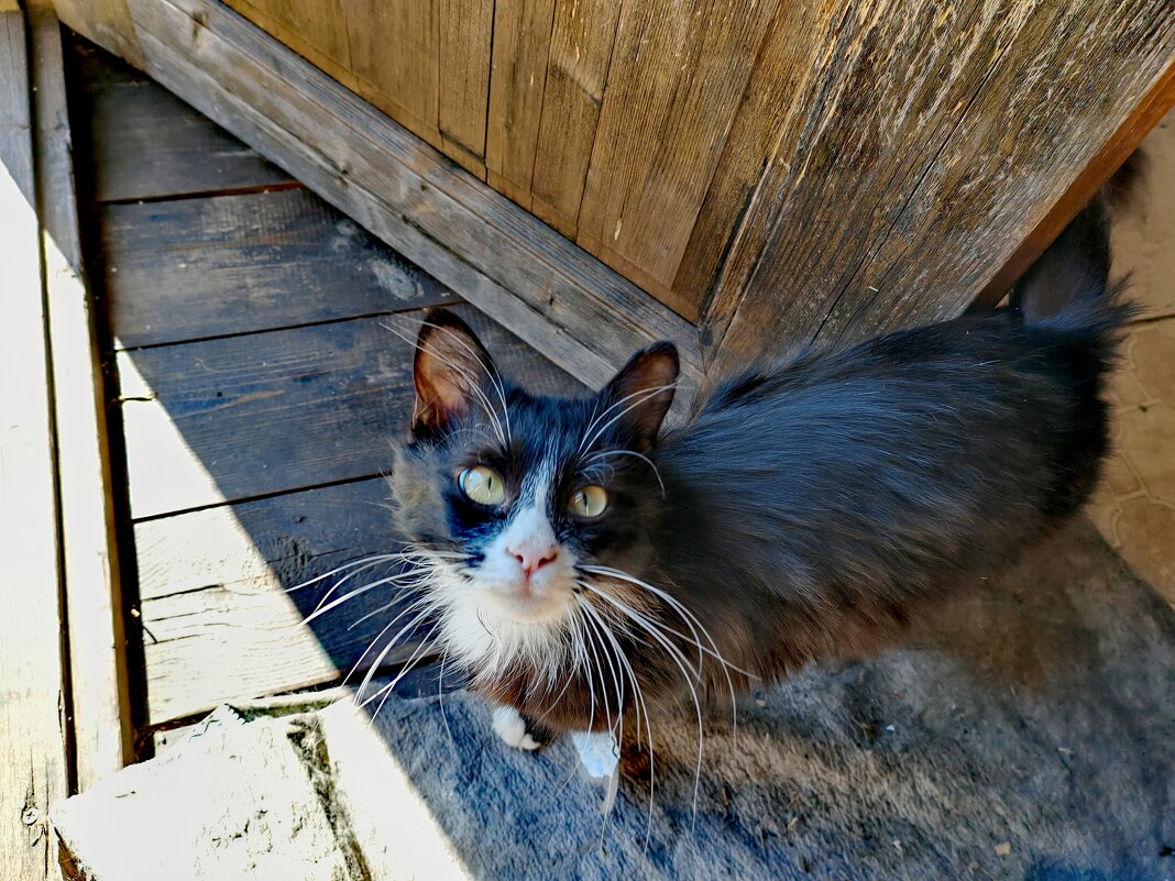 прости.не могу у меня уже трое.... - Любовь 