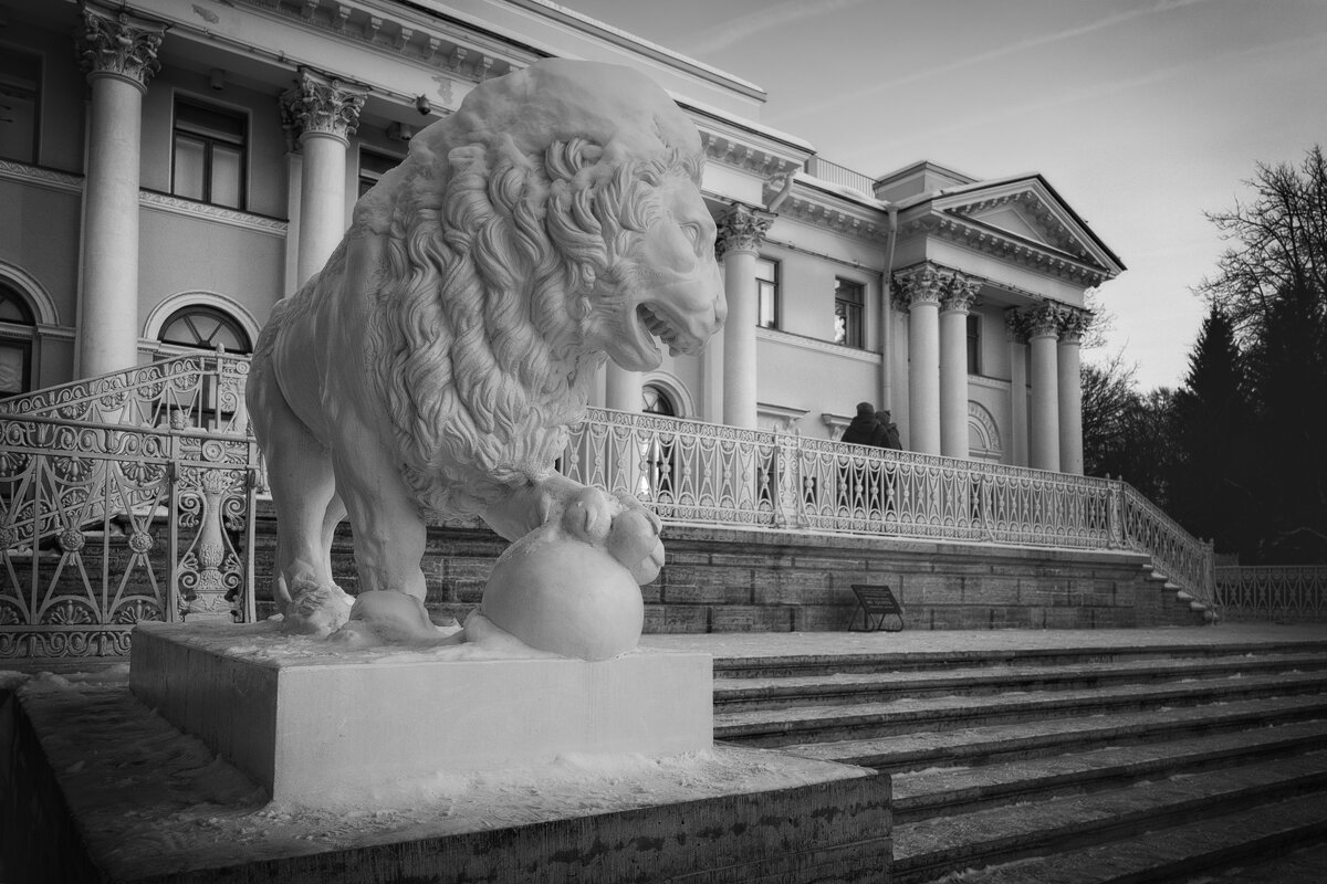 * - Светлана Воробьева