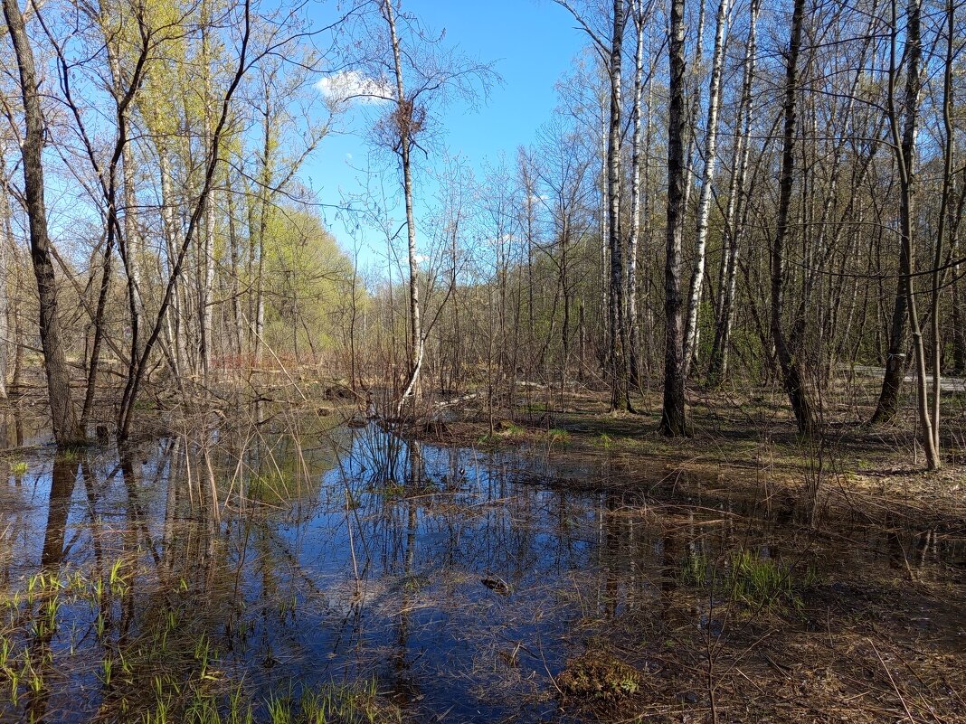 Приметы апреля - Андрей Лукьянов