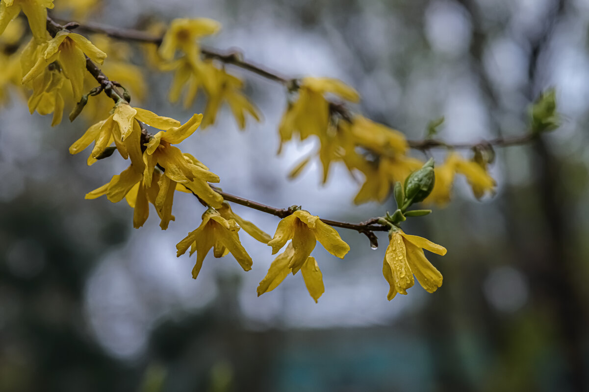 ... - Николай 