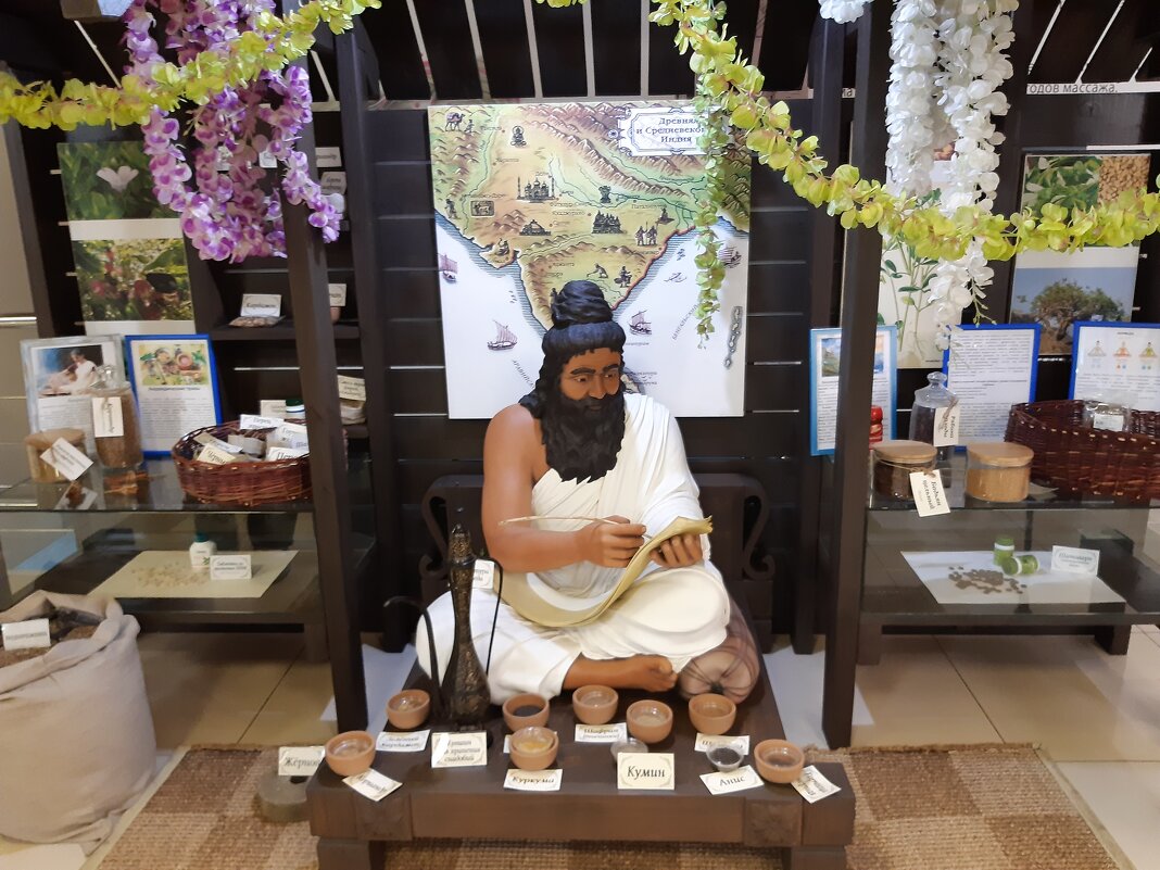 Музей "Травы Байкала" в Иркутске - Галина Минчук