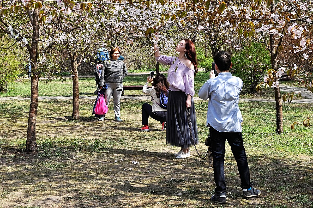 Бело-розовый туман,,, - Анатолий Колосов