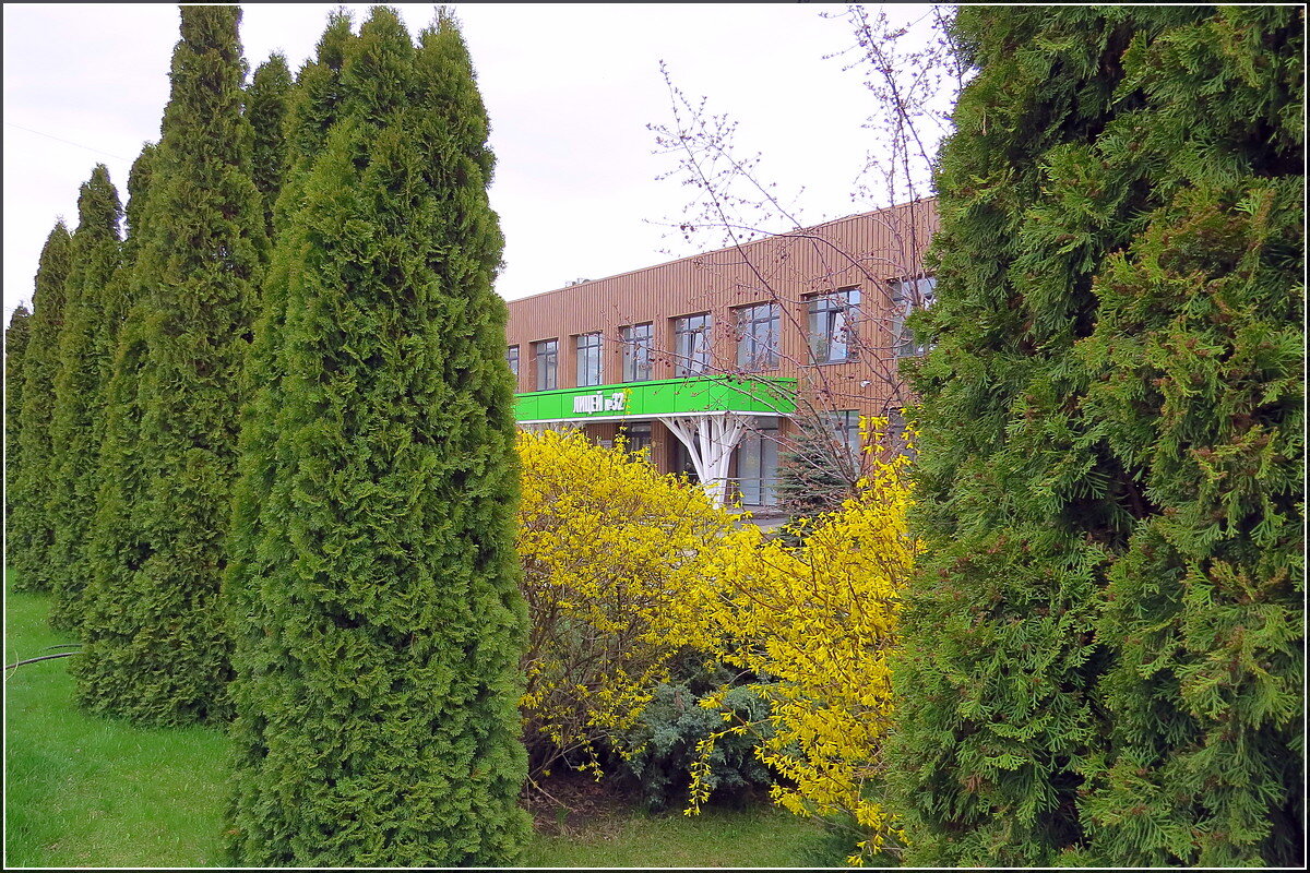 свежесть апреля - Сеня Белгородский