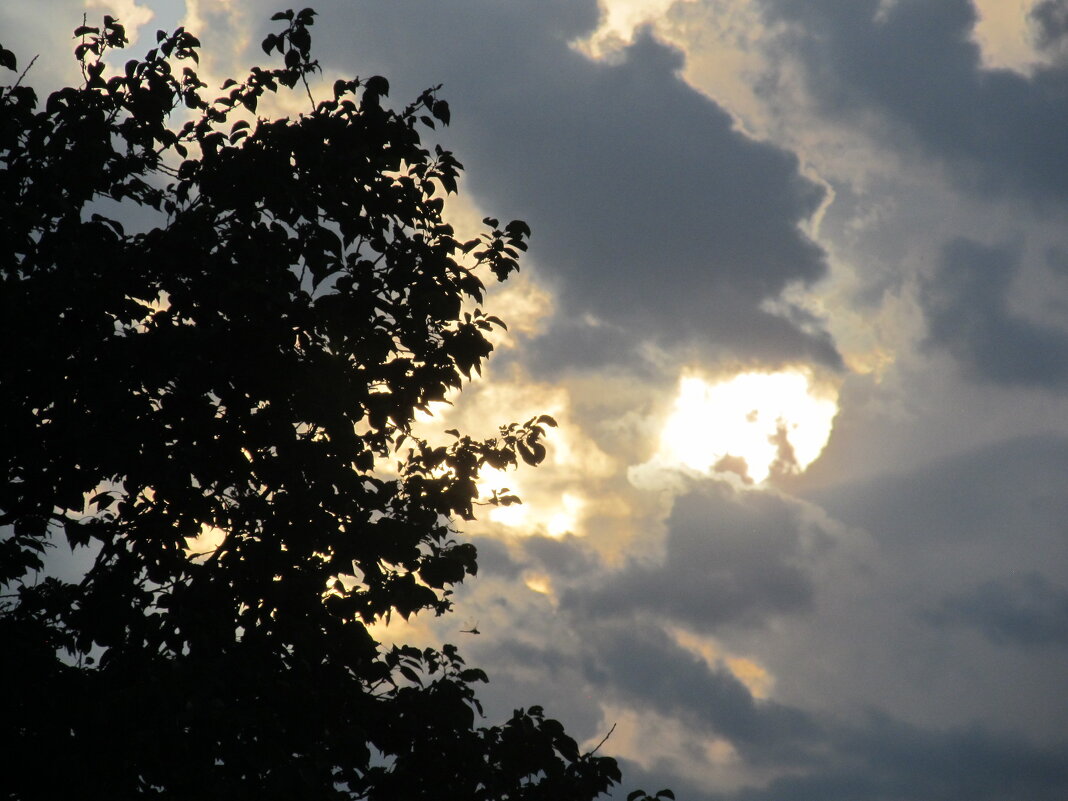 вечереет - Елена Шаламова