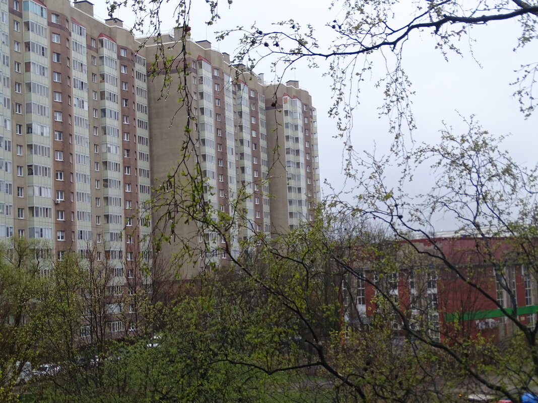 Дождливое утро - Anna-Sabina Anna-Sabina