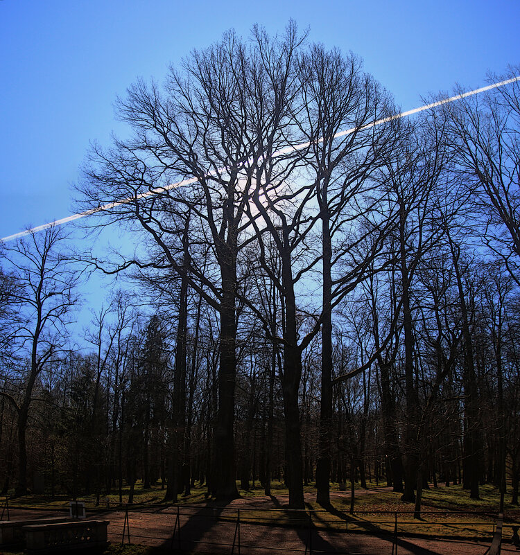 *** - Сергей Григорьев