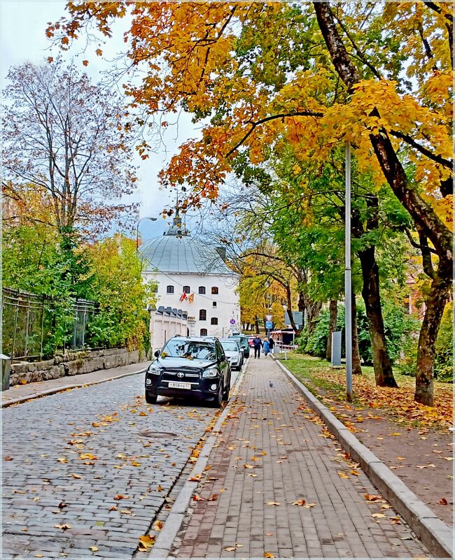 Улочки Выборга. - Лия ☼